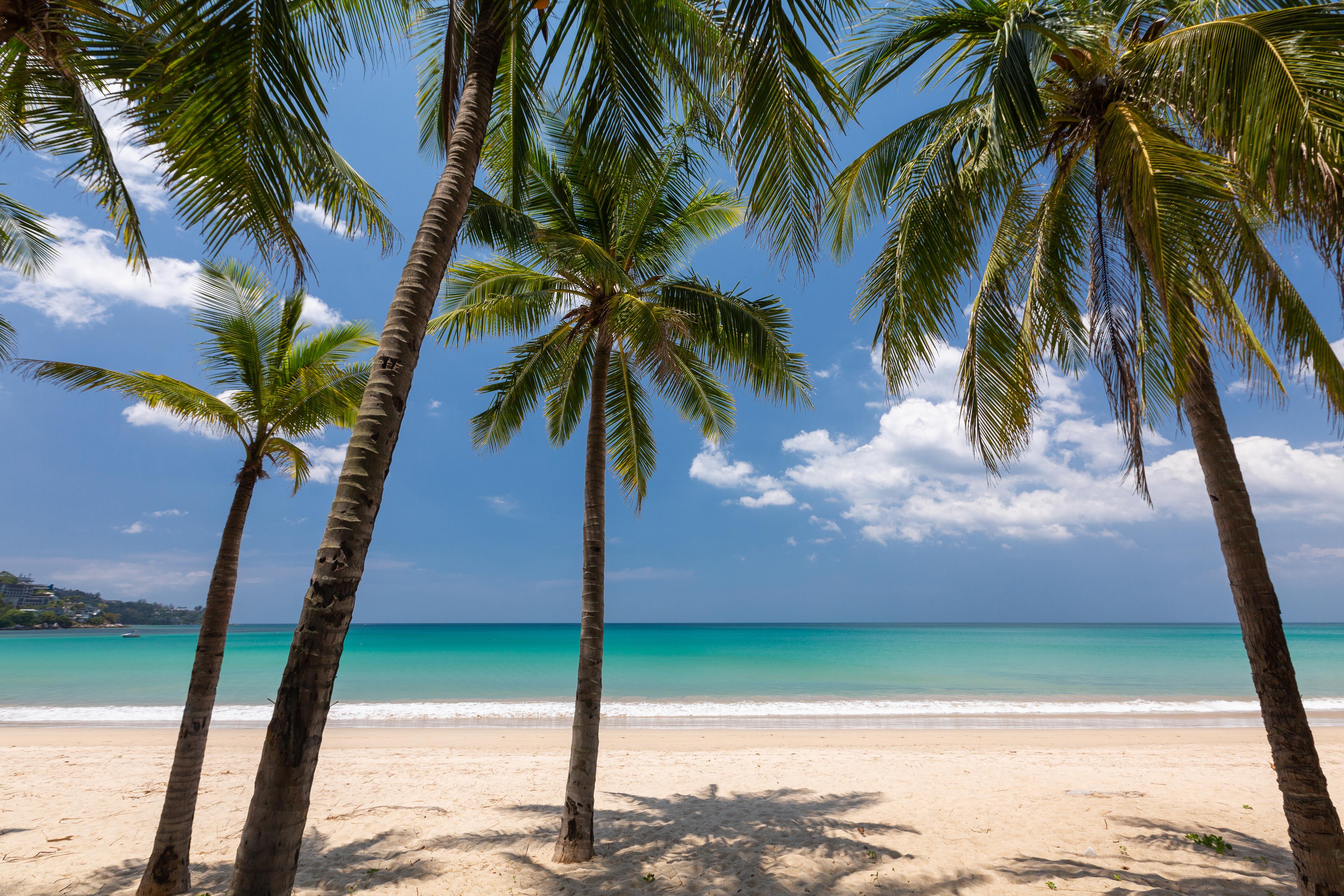 Sunprime Kamala Beach (Adults Only) Kültér fotó
